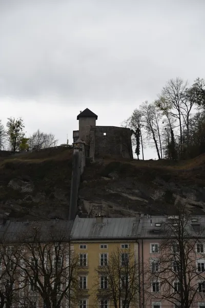 DSC_6996 (Large).JPG